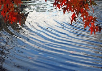 Ripples on Pond