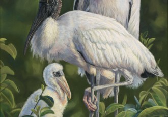 Woodstorks