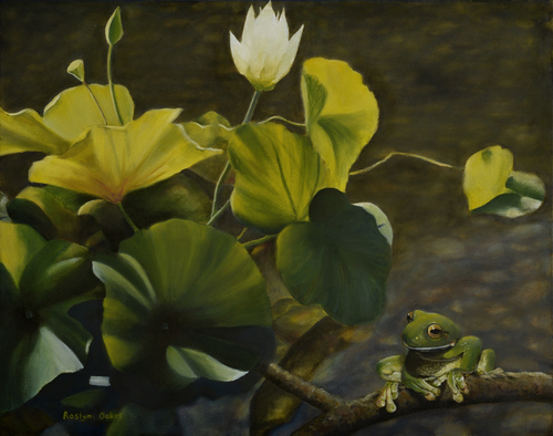 "Water Lily and Frog Study" Oil on Canvas, 50cm x 40cm by artist Roslyn Oakes. See her portfolio by visiting www.ArtsyShark.com