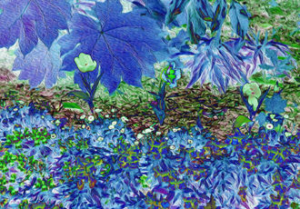 “San Antonio Botanical Blue” Computer Enhanced Photo on Aluminum, 16” x 20” by artist Nancy Wood. See her portfolio by visiting www.ArtsyShark.com