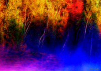 “Fall Trees on Muskegon River Morning” Digital Photography, 36” x 24” by artist Mark Goodhew. See his portfolio by visiting www.ArtsyShark.com