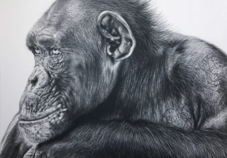 "Ken" Pencil on Bristol Board, 65cm x 65cm by artist Carla Grace. See her portfolio by visiting www.ArtsyShark.com