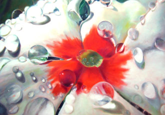 Painting of a close up view of a white Vinca with dew on it by Diane Morgan