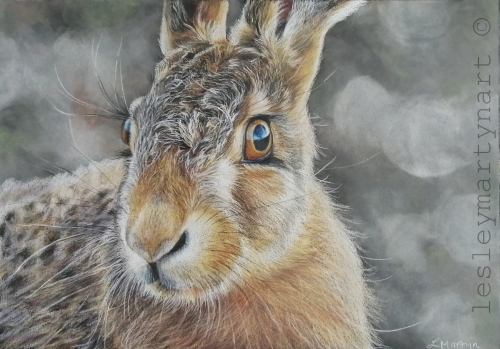 Realistic and Detailed Color Pencil Art by Lesley Martyn I Artsy Shark