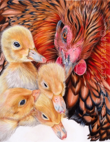 colored pencil demonstration – Veronica Winters Painting