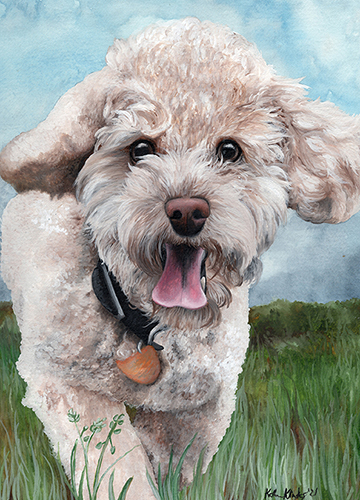 watercolor portrait of a dog by Katherine Klimitas