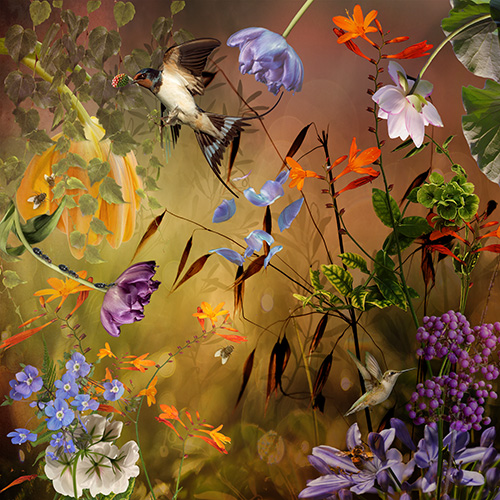 Collage de fotos digitales de colibríes y flores.