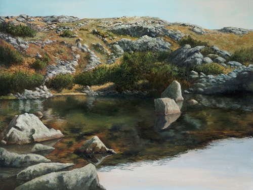 landscape water with rocky shore oil painting