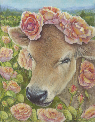 colored pencil drawing of a cow with roses