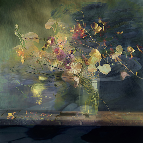 flores de arte digital con amapolas