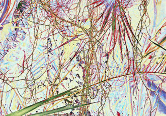 abstract art inspired by Florida marshes #abstract