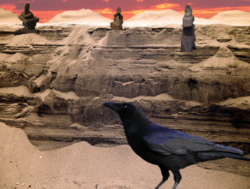 photomontage of desert landscape and crow