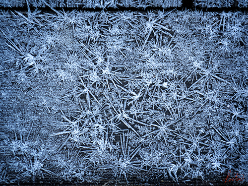 photo of ice crystals