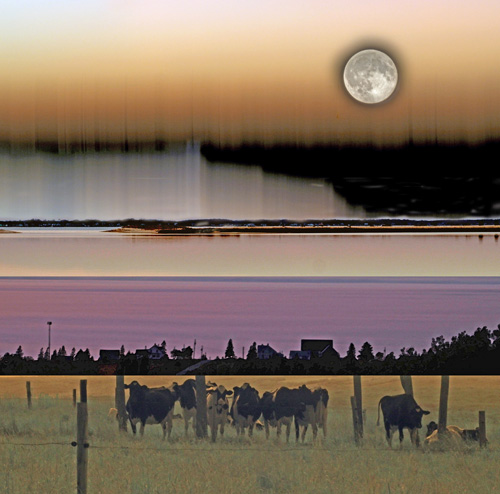 photomontage of a moonrise over a rural landscape