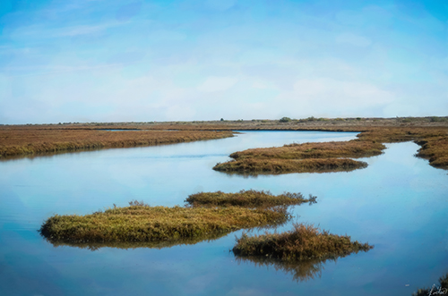 photograph of Portugese wetlands