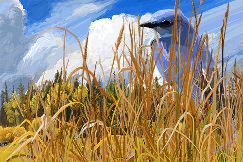 digital painting of a bird in tall grass