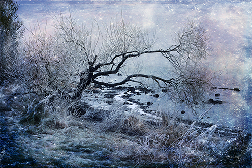 ethereal haunting winter photography
