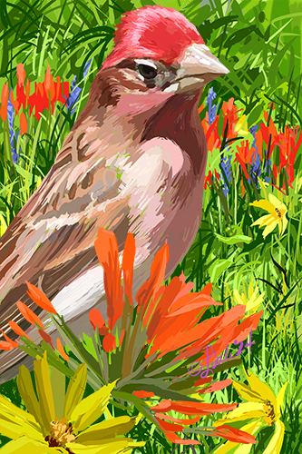 digital painting of a bird in the grass