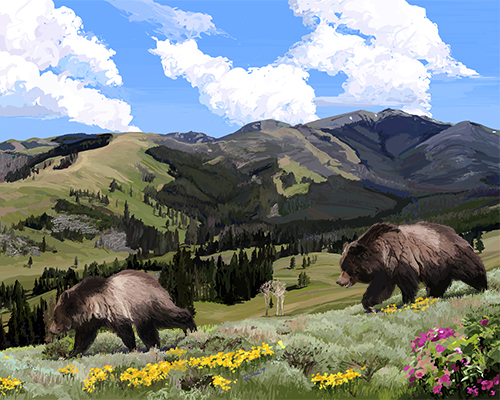 digital painting of bears in the Montana mountains