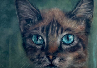 cat pet portrait in pastel