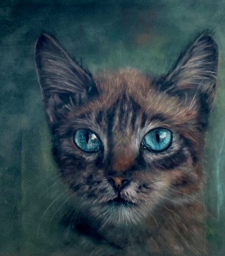 cat pet portrait in pastel