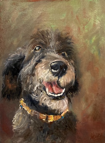 Pet portrait of a fluffy dog