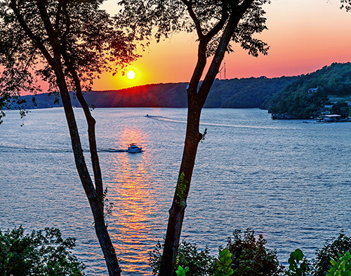 sunset over water and trees photo