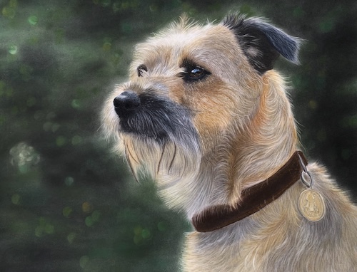 dog pet portrait in pastel