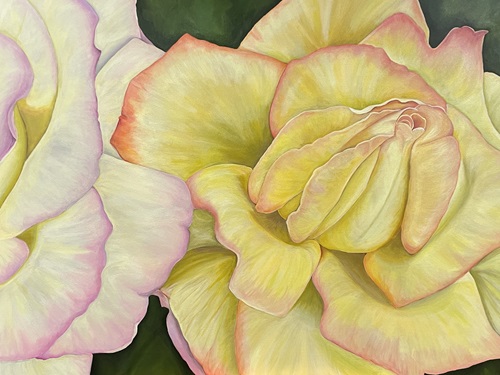 closeup painting of a yellow rose