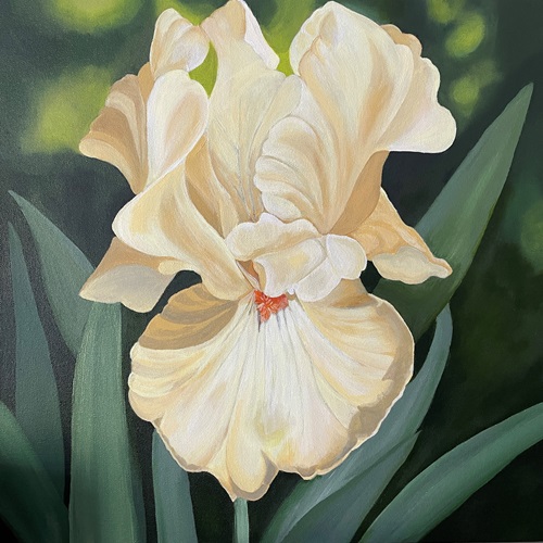 acrylic painting of an iris in bloom