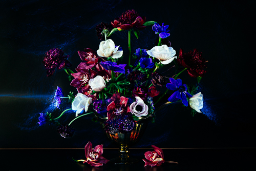 bold and colorful fine art photograph of flowers