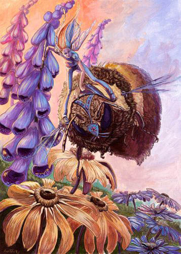 fantasy illustration of a fairy riding a bumblebee