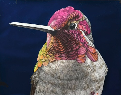 color pencil mixed media drawing of a hummingbird