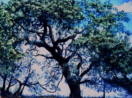 large pastel painting of an oak tree