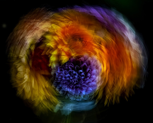 abstract photograph of a bouquet of flowers