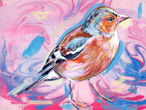 stylized painting of a Chaffinch bird