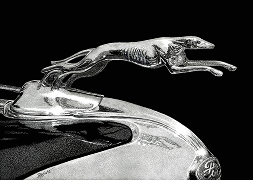 scratchboard drawing of a greyhound hood ornament