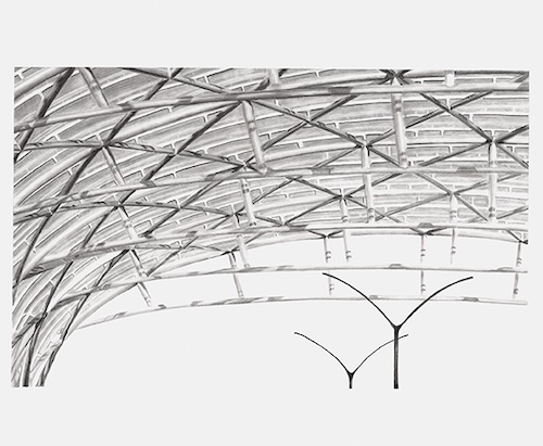 graphite drawing of a complex ceiling