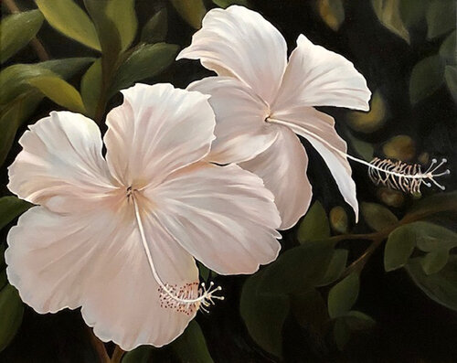 oil painting of hibiscus flowers