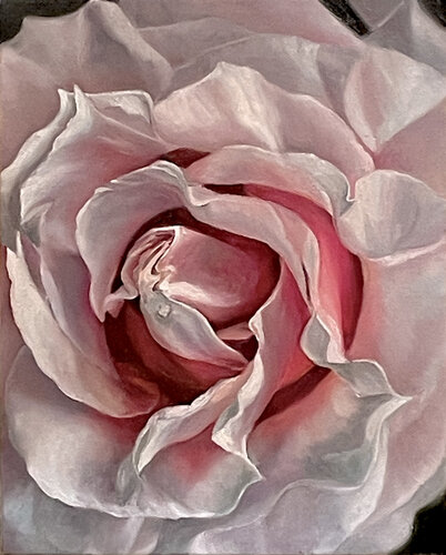 closeup oil painting of a pink rose