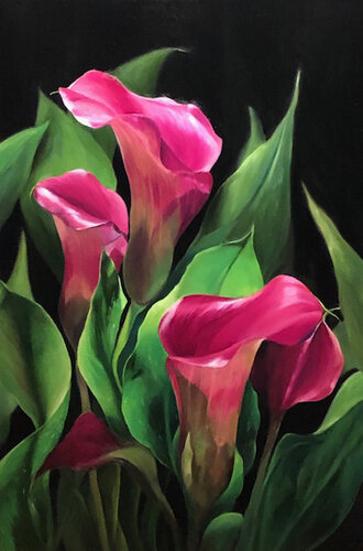 oil painting of pink calla lilies