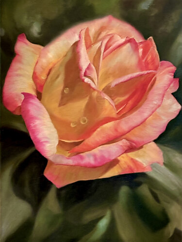 painting of a lovely pink rose