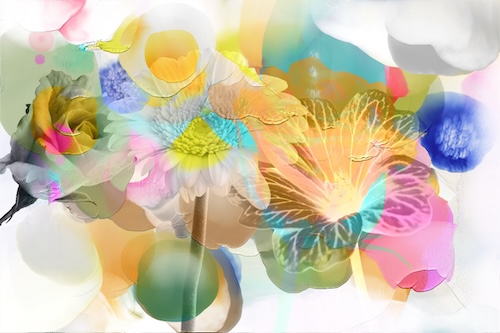 abstract digital artwork incorporating florals