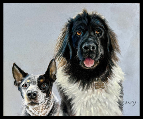 pet portrait in pastel