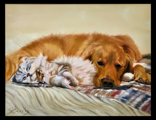 pastel drawing of a dog and cat napping