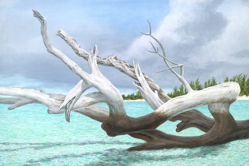 Painting of driftwood on a Florida shore