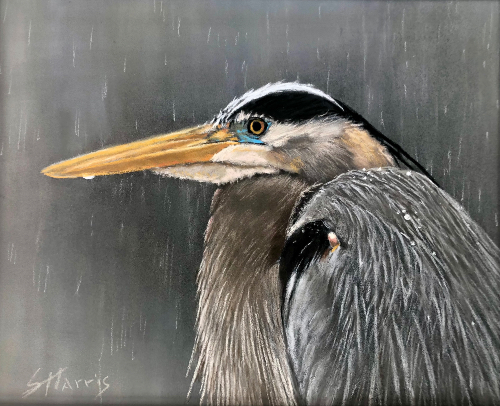 pastel drawing of a heron in the rain