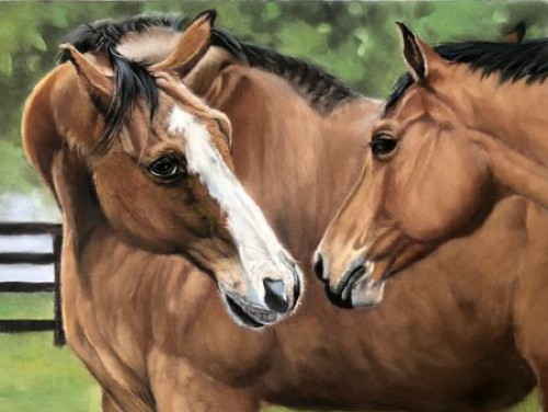 pastel drawing of two horses