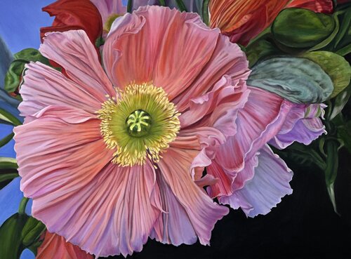 Realistic painting of a poppy