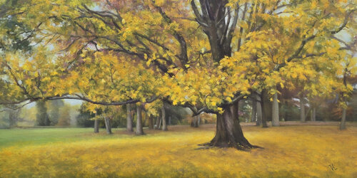 landscape of yellow leaves in the fall